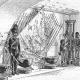 Armémuseum skildrar krigets fasor och roll för landet
